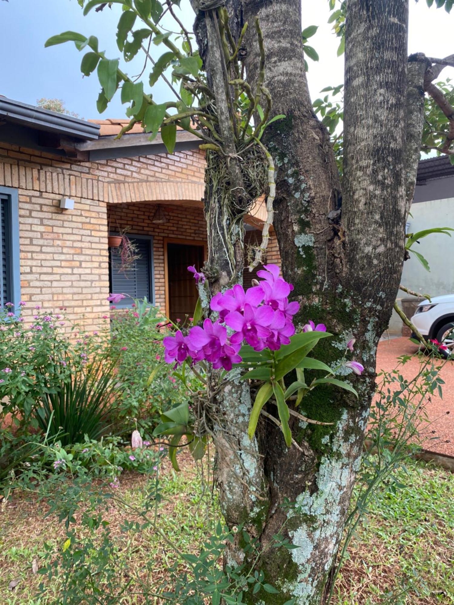 Agradable casa independiente con jardín y estacionamiento Ciudad del Este Exterior foto